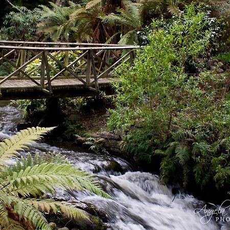 Frankie & Hugh'S Bed & Breakfast Ohakune Exterior photo